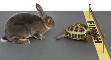 Tortoise Acquisition Corp. Files for $225M SPAC IPO