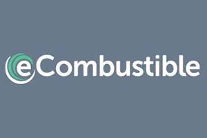 eCombustible Terminates Deal with Benessere (BENE)