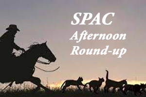 Afternoon SPAC News Roundup: March 21, 2024